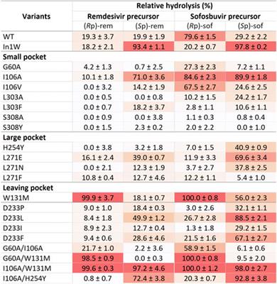Improving stereoselectivity of phosphotriesterase (PTE) for kinetic resolution of chiral phosphates